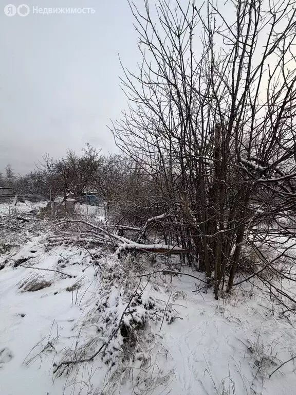 Участок в Волгоград, СНТ Электромонтажник (10.68 м) - Фото 1