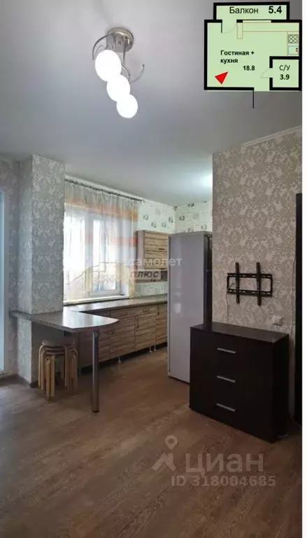 Студия Новосибирская область, Новосибирский район, с. Криводановка, ... - Фото 0
