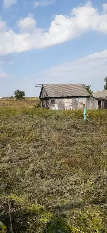Дом в Саратовская область, Балашовский район, Пинеровка рп ул. ... - Фото 2