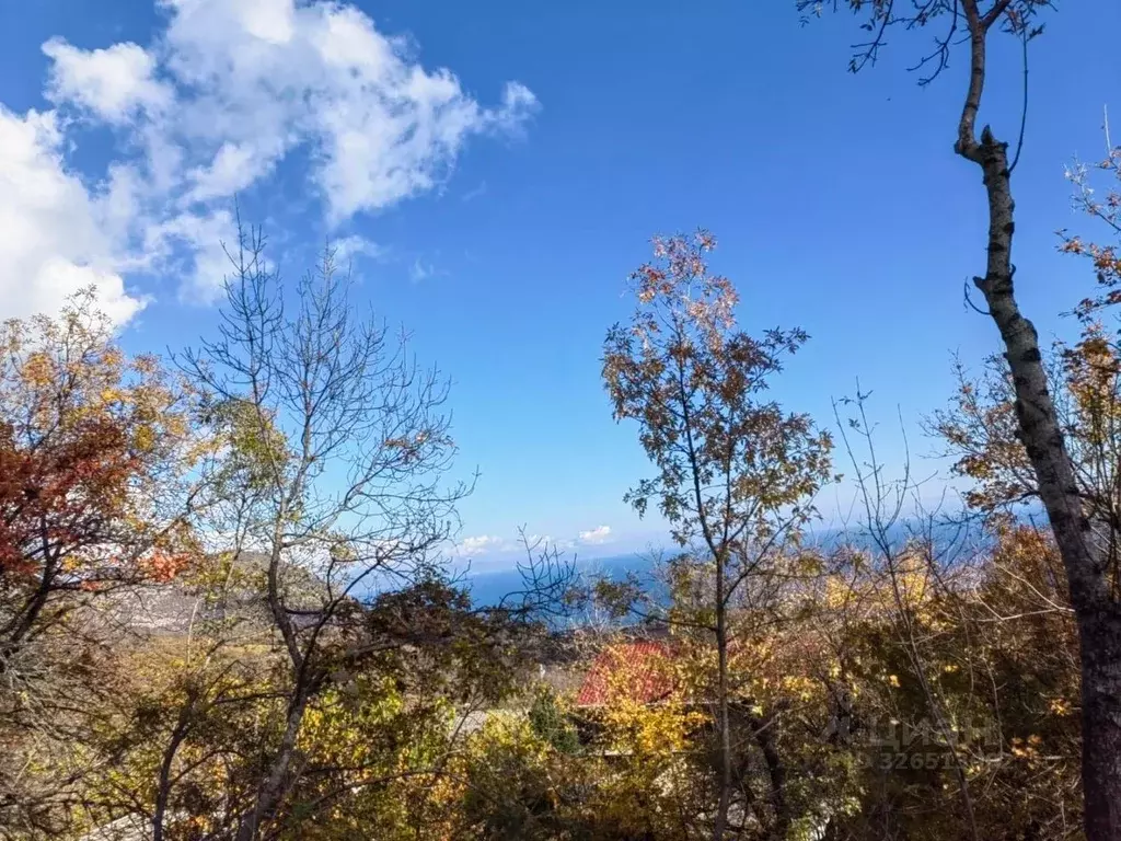 Участок в Крым, Алушта муниципальный округ, с. Малый Маяк ул. Зеленая, ... - Фото 1