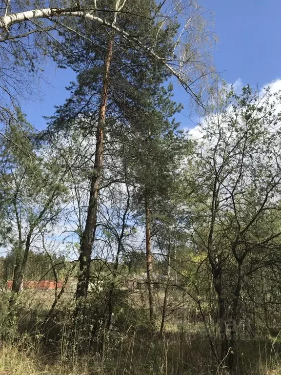 Участок в Московская область, Электроугли Богородский городской округ, ... - Фото 2