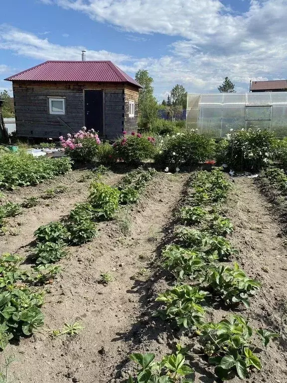 Дом в Иркутская область, Иркутск Энергетик-2 СНТ, ул. Третья (30 м) - Фото 1
