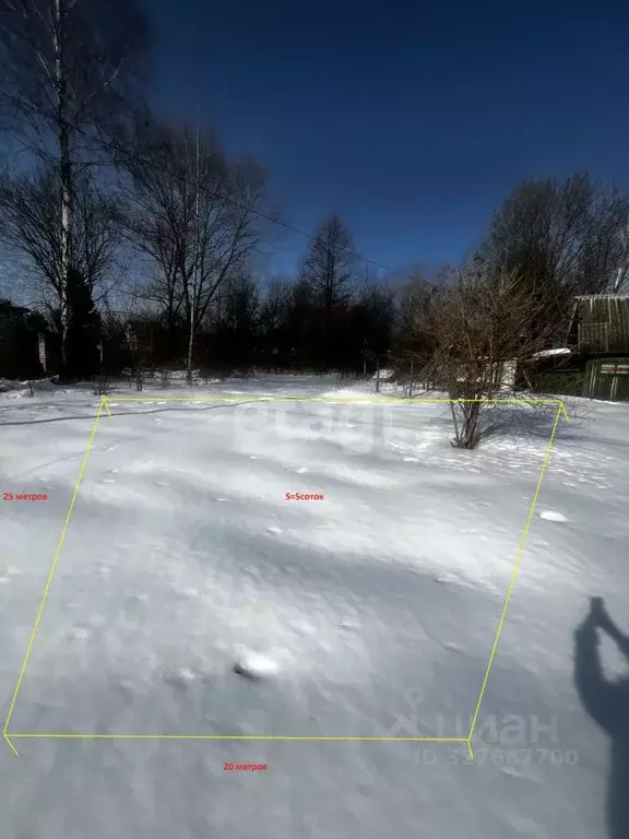 Участок в Брянская область, Брянский район, Нетьинское с/пос, ... - Фото 2