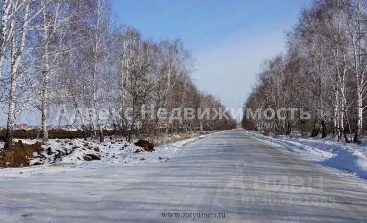 участок в тюменская область, тюменский район, с. перевалово лиственная . - Фото 0