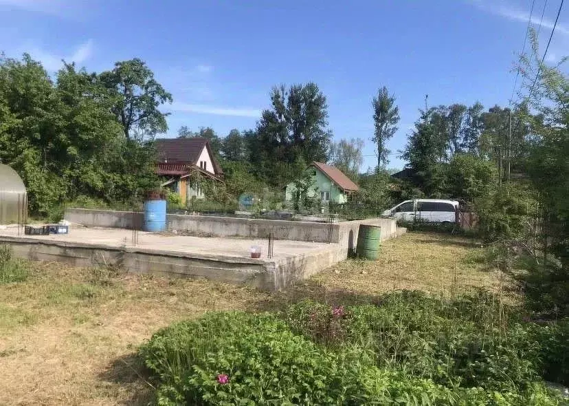 Участок в Калининградская область, Светлогорск Радуга СНТ, 1-я линия ... - Фото 1