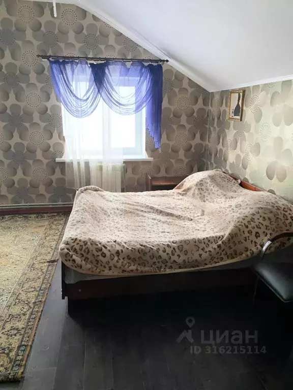Дом в Нижегородская область, Нижний Новгород городской округ, д. ... - Фото 1