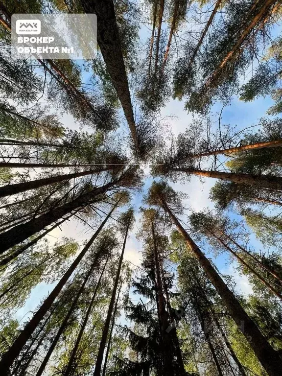 Участок в Карелия, Беломорский муниципальный округ, с. Лехта ул. ... - Фото 1