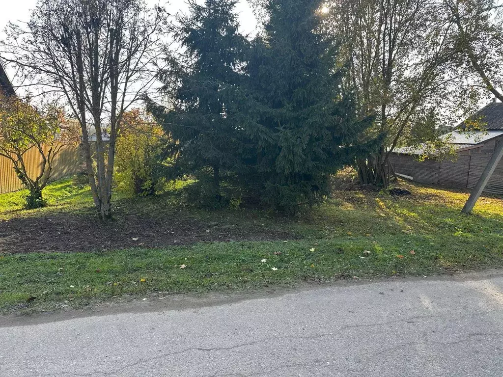 Участок, 10.6 сот., поселения (ижс) - Фото 2