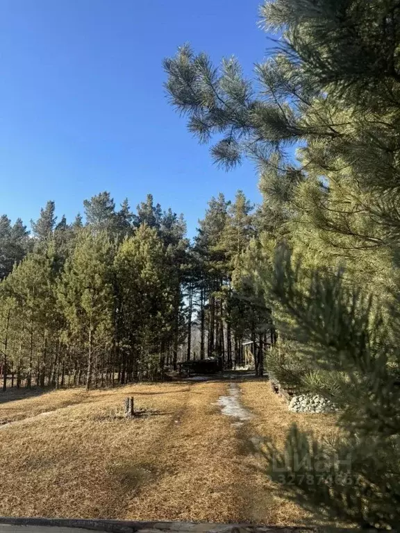 Дом в Алтай, Чемальский район, с. Чемал ул. Кольцевая (35 м) - Фото 1