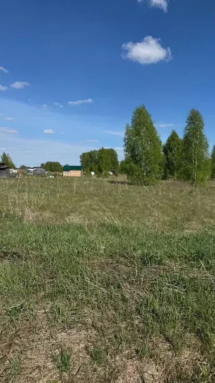 Участок в Новосибирская область, Новосибирский район, Морской ... - Фото 1