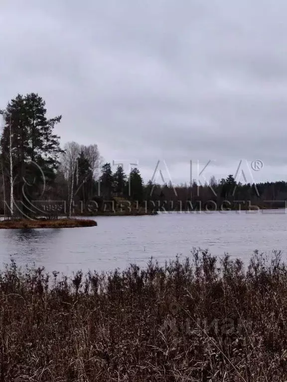 Участок в Ленинградская область, Приозерский район, Севастьяновское ... - Фото 1