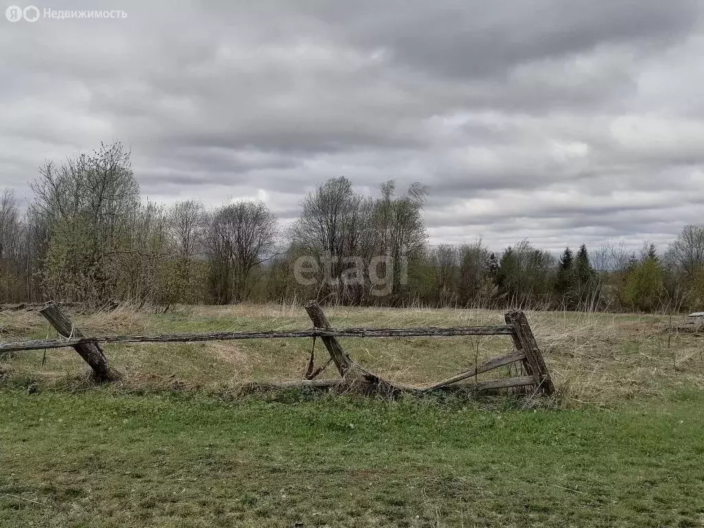 Участок в Череповецкий район, муниципальное образование Югское, село ... - Фото 0