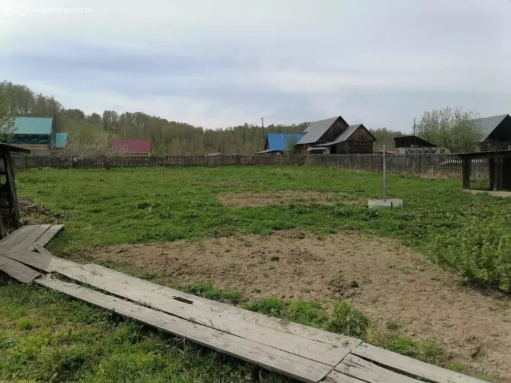 Участок в Чойский район, Чойское сельское поселение, село Гусевка (20 ... - Фото 2