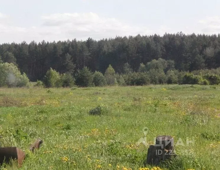 Савино 15. Деревня Савино Тверская область Кимрский район. Поле жальников Тверская область. Выркино Кимрский район. Сиблово Тверская область.