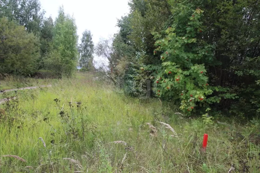 Участок в Вологодская область, Великий Устюг Гледенская ул., 24А (17.8 ... - Фото 1