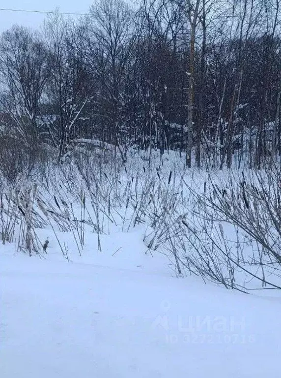 Участок в Московская область, Чехов муниципальный округ, д. Булычево  ... - Фото 1
