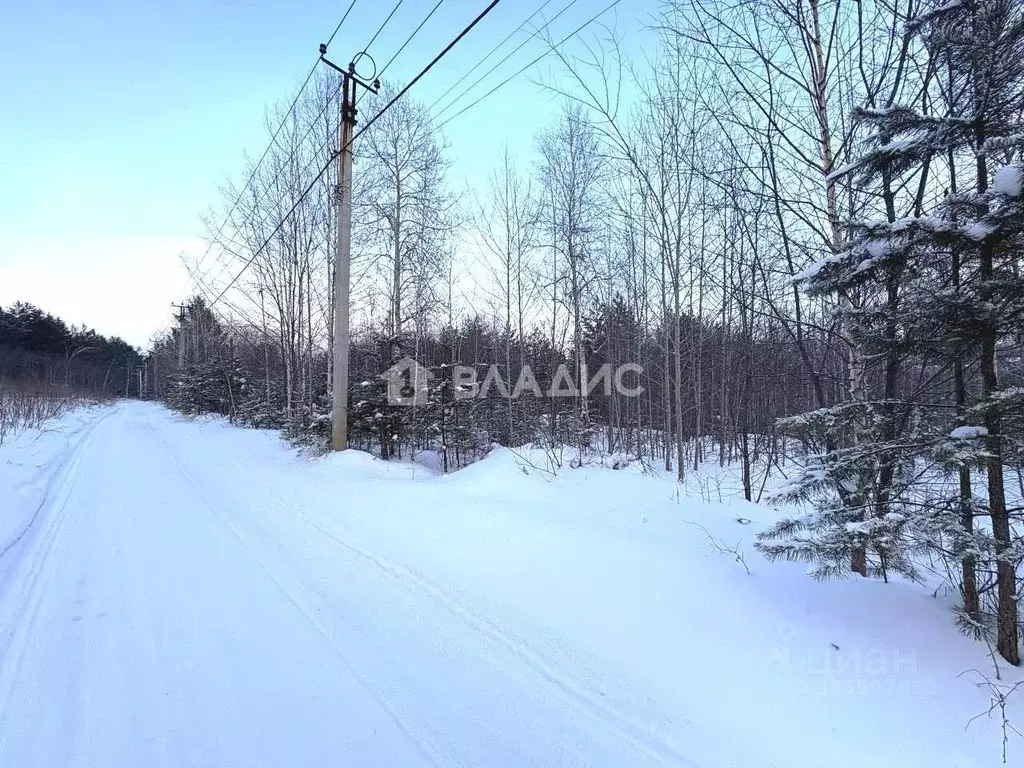 Участок в Иркутская область, Иркутск Славный мкр, ул. Заветная (15.0 ... - Фото 2