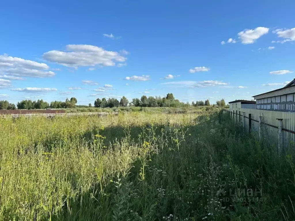 Участок в Курганская область, Курган Золотой Подсолнух СНТ,  (10.0 ... - Фото 1