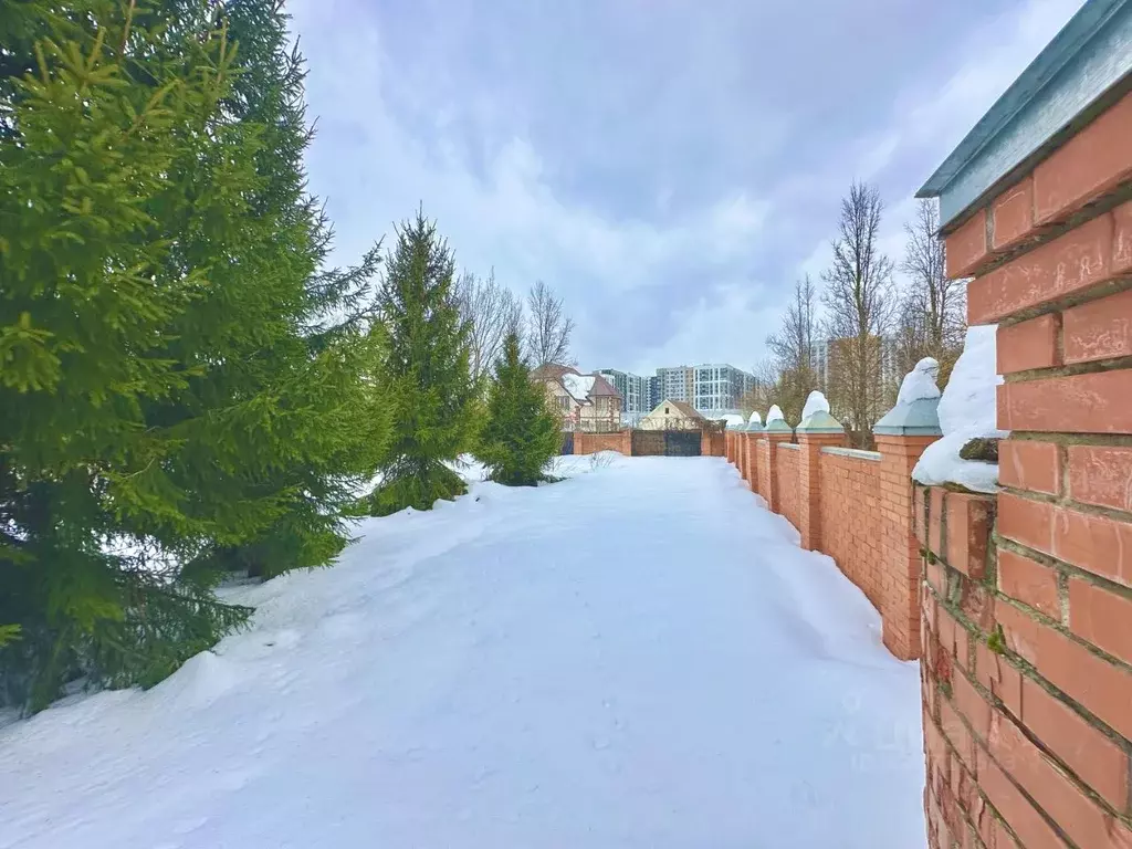 Участок в Москва д. Ямонтово, ул. Раздольная, 5 (6.0 сот.) - Фото 2