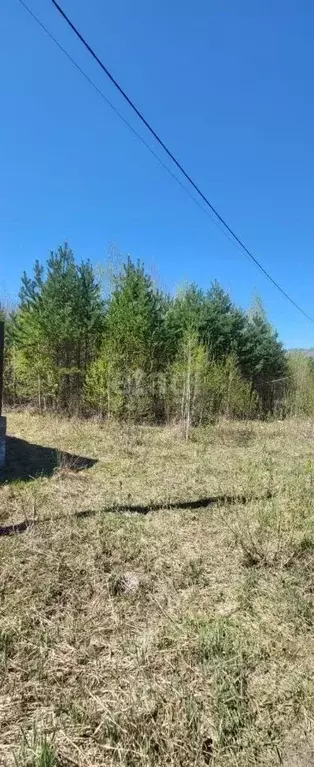 Участок в Алтай, Майминский район, с. Озерное ул. Мира (15.0 сот.) - Фото 0