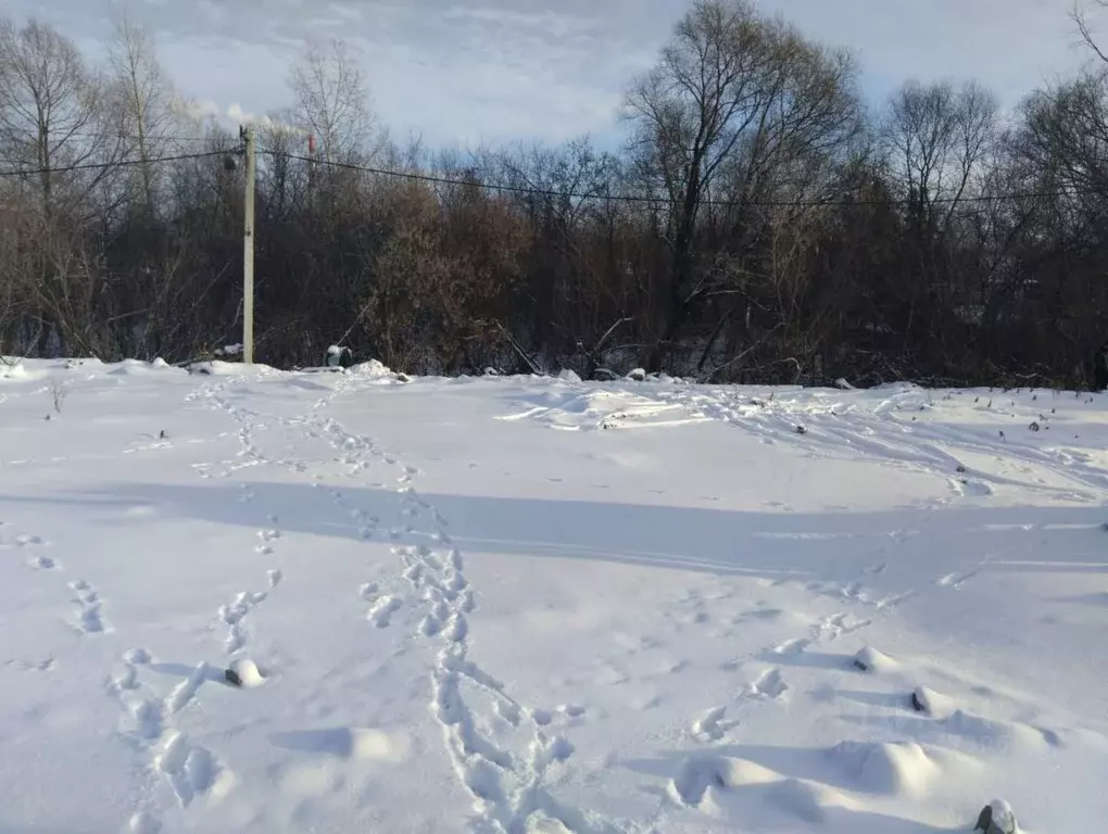 Участок в Новосибирская область, Новосибирск Рассвет садовое ... - Фото 0