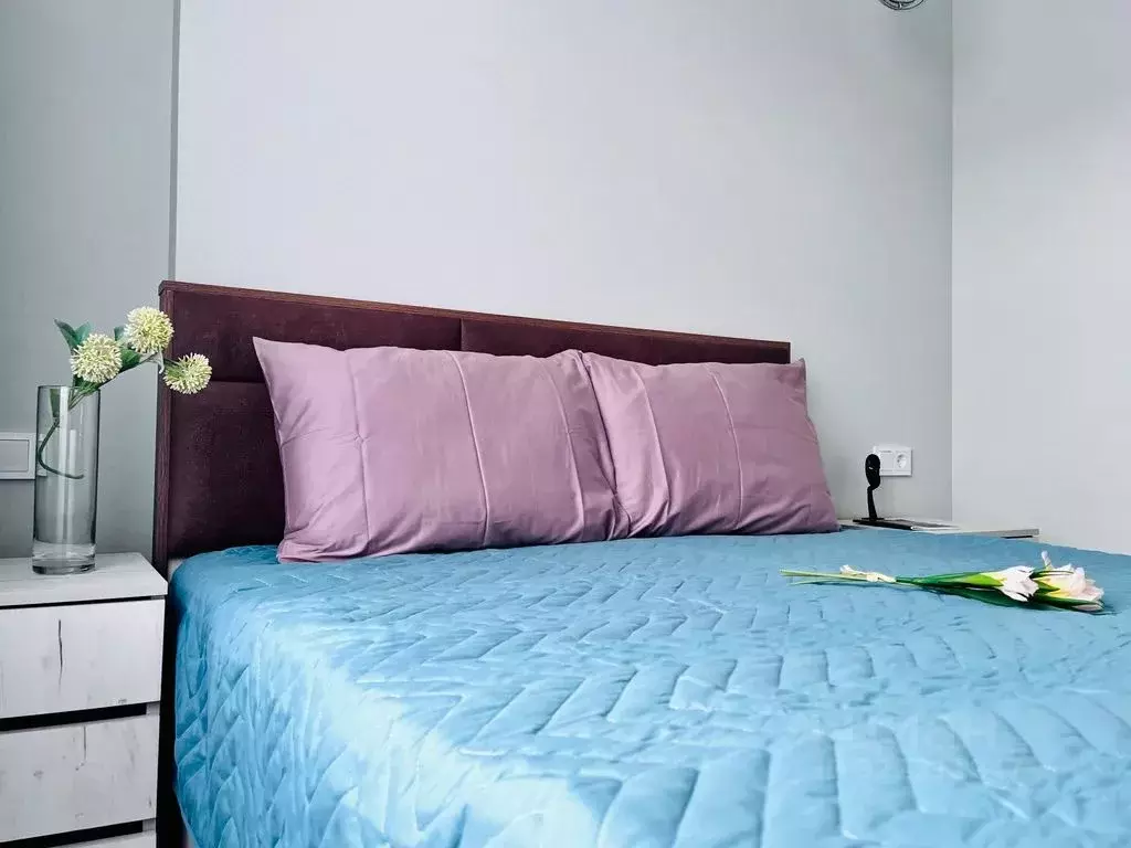 1-к кв. Краснодарский край, Сочи ул. Ленина, 290/6 (42.0 м) - Фото 1