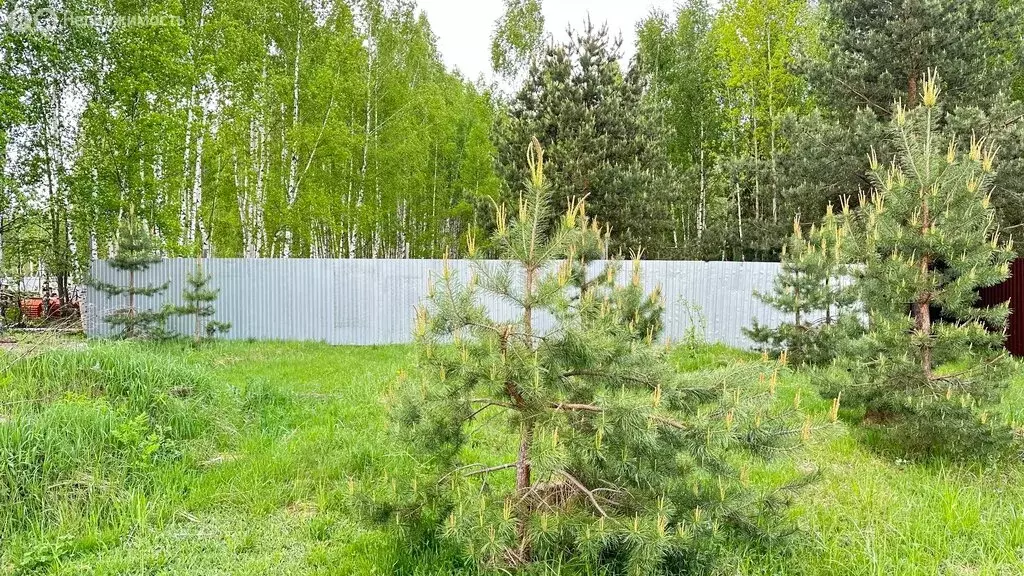 Участок в Ногинск, Староторбеевская улица, 46 (30 м) - Фото 2