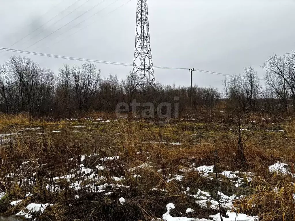 Участок в Архангельская область, Архангельск Малое Никольское ТСН,  ... - Фото 2