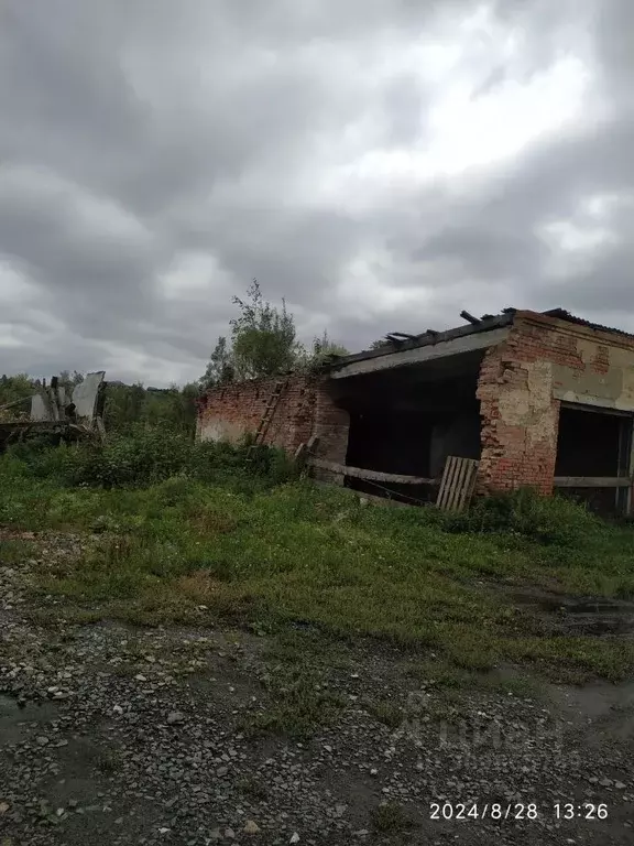 Гараж в Томская область, с. Кривошеино ул. Кооперативная, 3 (124 м) - Фото 0