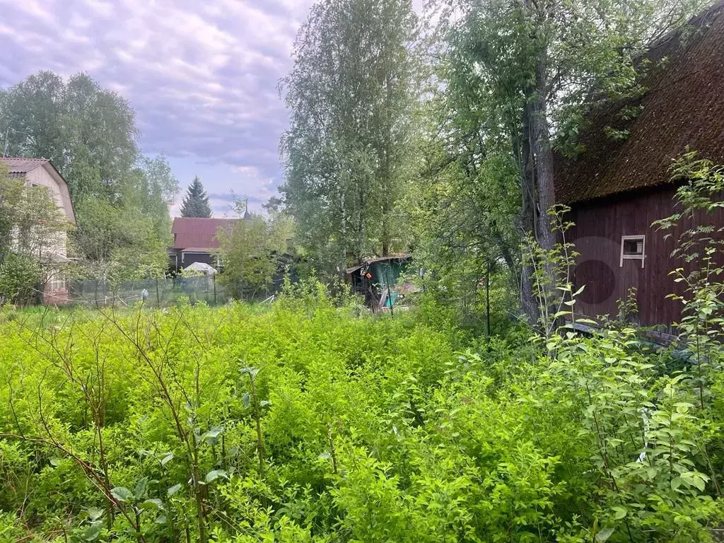 Купить Дачу В Васкелово От Собственника