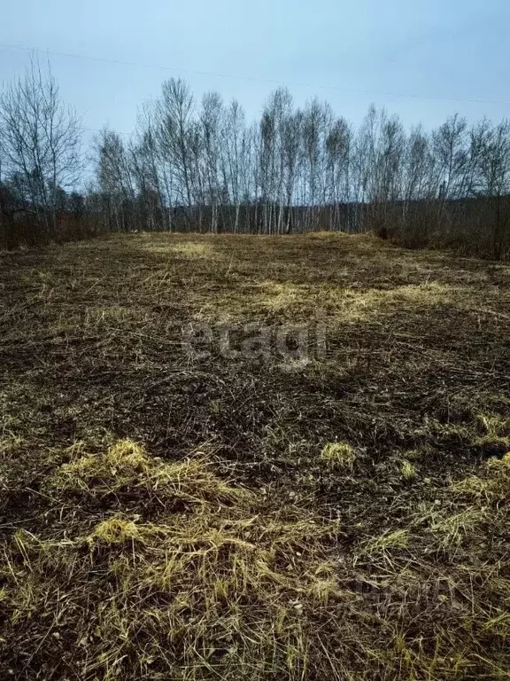 Участок в Амурская область, Благовещенский район, с. Чигири ул. ... - Фото 1