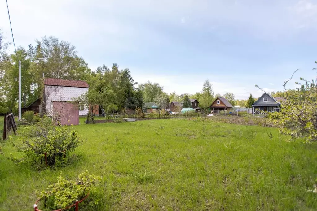Участок в Новосибирская область, Бердск Вега-3 СНТ, 922А (5.0 сот.) - Фото 1