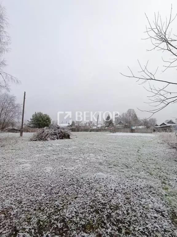 Участок в Костромская область, Костромской район, Чернопенское с/пос, ... - Фото 1