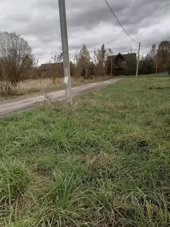 Участок в Московская область, Коломна городской округ, с. Северское ... - Фото 2