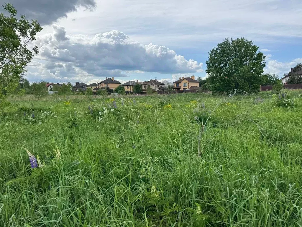 Участок в Московская область, Богородский городской округ, д. ... - Фото 0