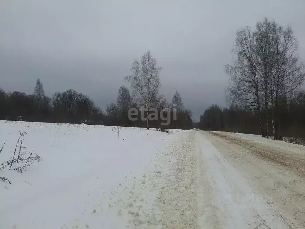 Участок в Псковская область, Островский район, Воронцовская волость, ... - Фото 0