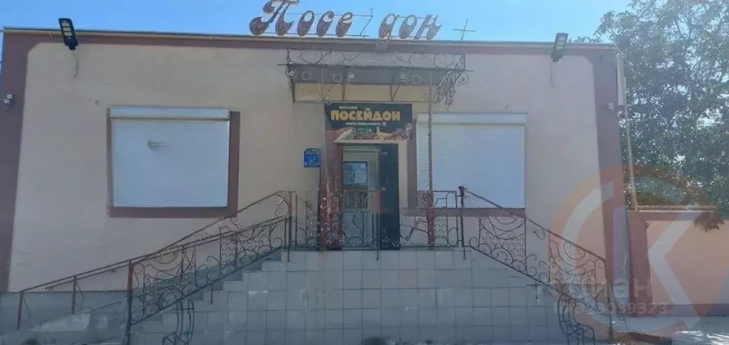 Торговая площадь в Крым, Евпатория городской округ, Заозерное пгт ул. ... - Фото 1