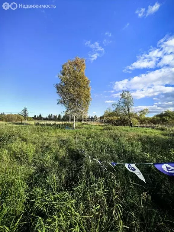 Участок в Отрадное, улица Петрикова, 27 (10 м) - Фото 1