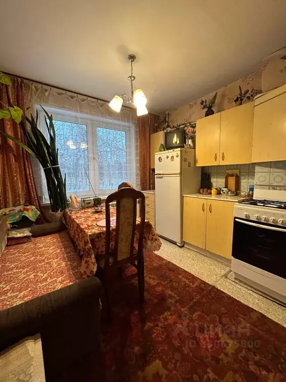 1-к кв. Московская область, Щелково ул. Беляева, 37 (30.0 м) - Фото 2