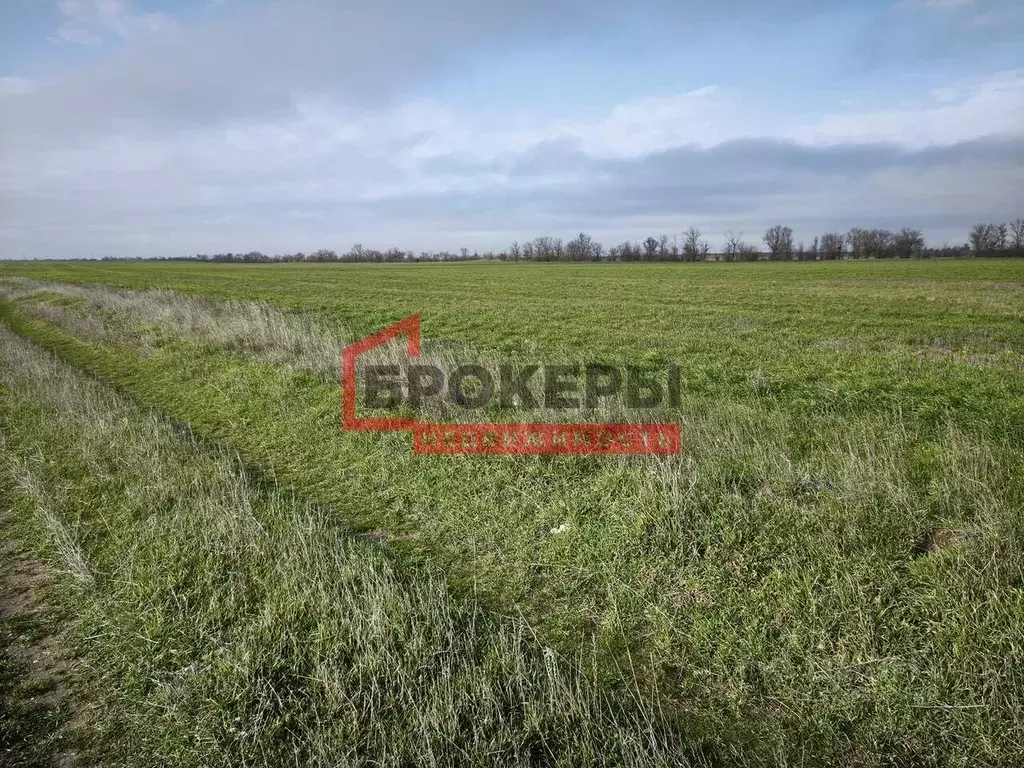 Участок в Крым, Сакский район, Ивановское с/пос, с. Жаворонки ул. ... - Фото 1