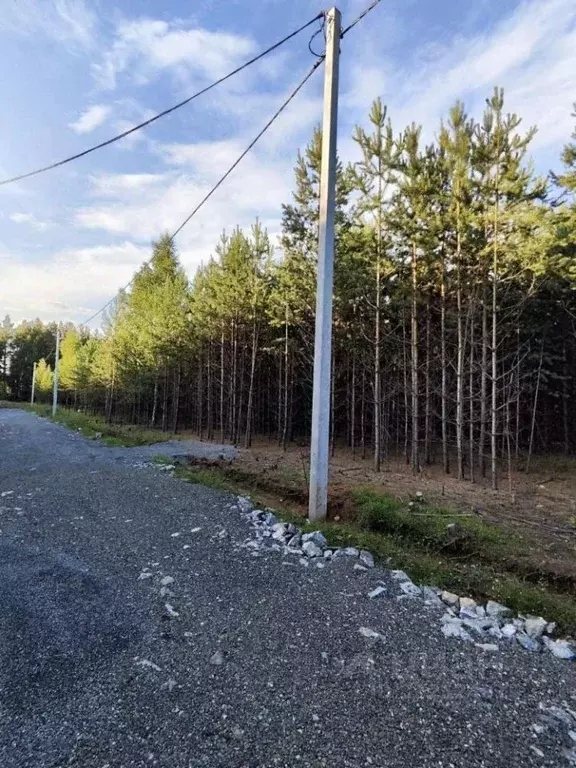 Участок в Свердловская область, Екатеринбург Лесные Тропы кп,  (10.0 ... - Фото 1