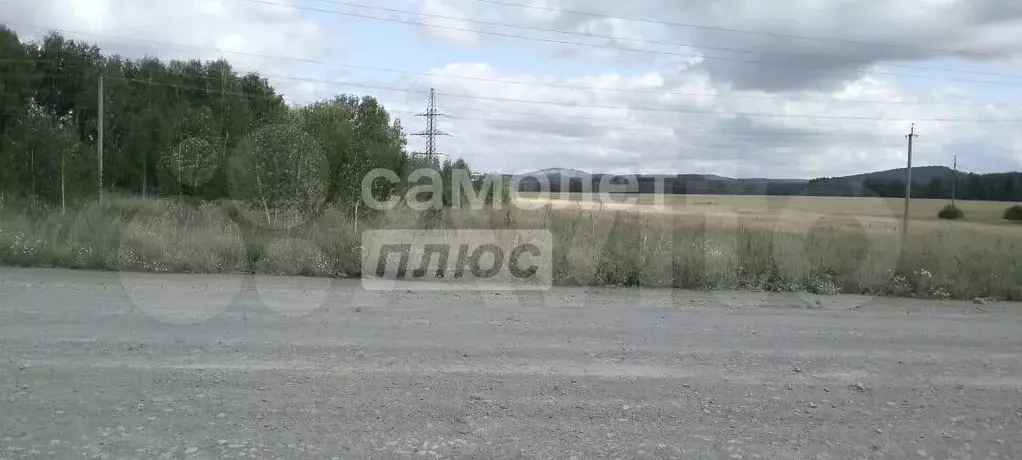 Участок 12,3 га (СНТ, ДНП) - Фото 0