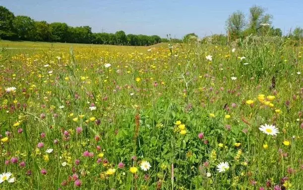 Участок в Краснодарский край, Новороссийск городской округ, ... - Фото 1