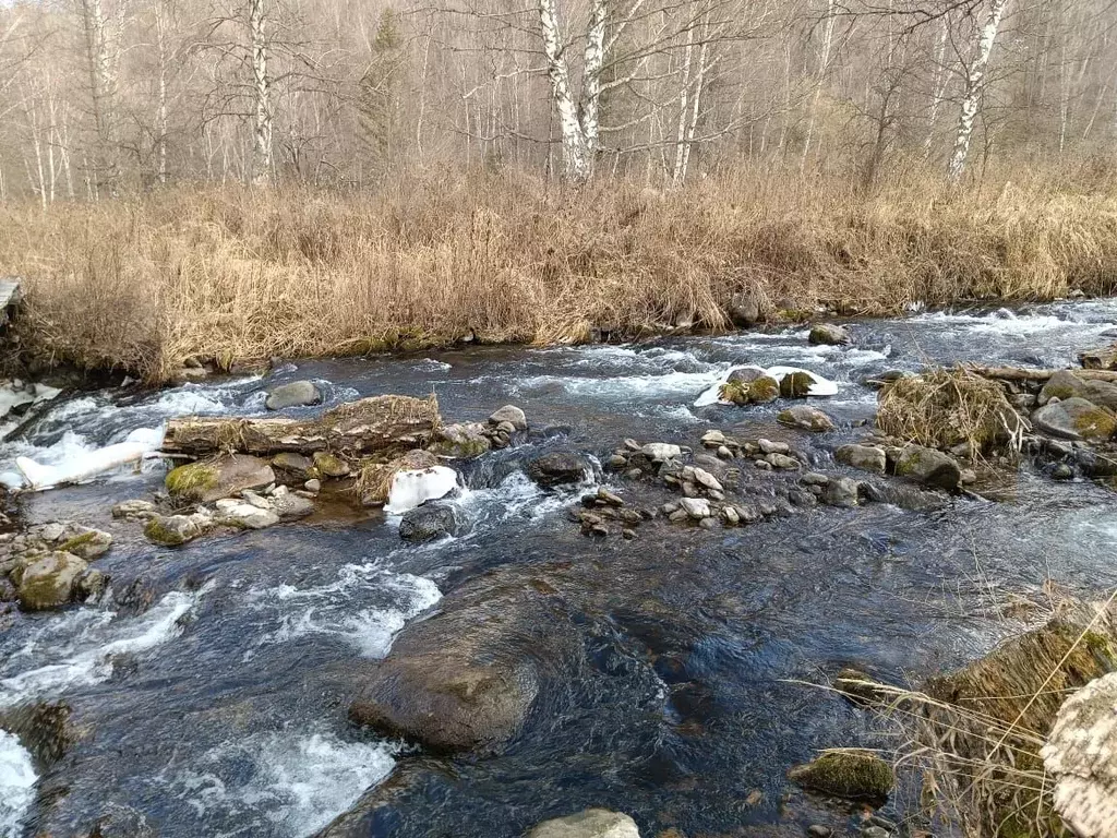 Участок в Алтай, Усть-Канский район, с. Владимировка  (15.9 сот.) - Фото 1