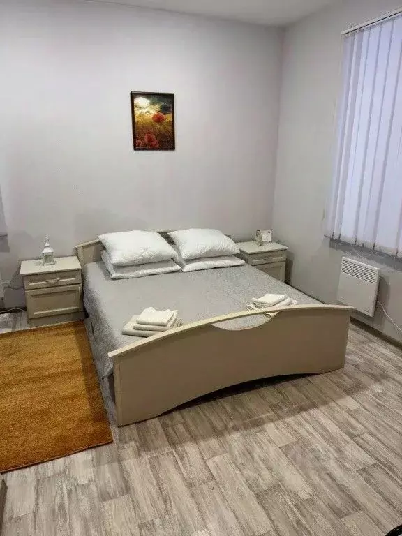 1-к кв. Псковская область, Гдов ул. Яна Фабрициуса, 25 (20.0 м) - Фото 1