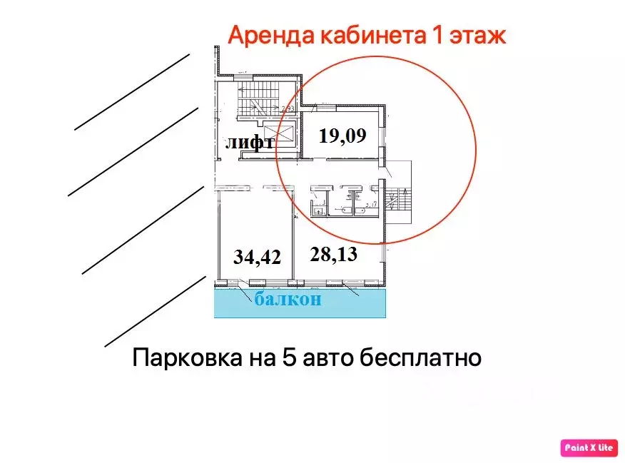 Офис в Воронежская область, Воронеж ул. Моисеева, 47А (19 м) - Фото 2