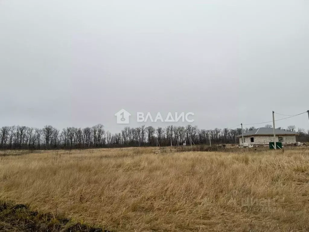 Участок в Пензенская область, с. Бессоновка ул. Ключевая (10.0 сот.) - Фото 1