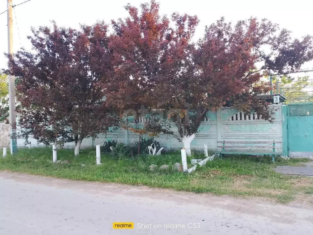 Дом в Окунёвское сельское поселение, село Марьино, Морская улица (64.3 ... - Фото 1