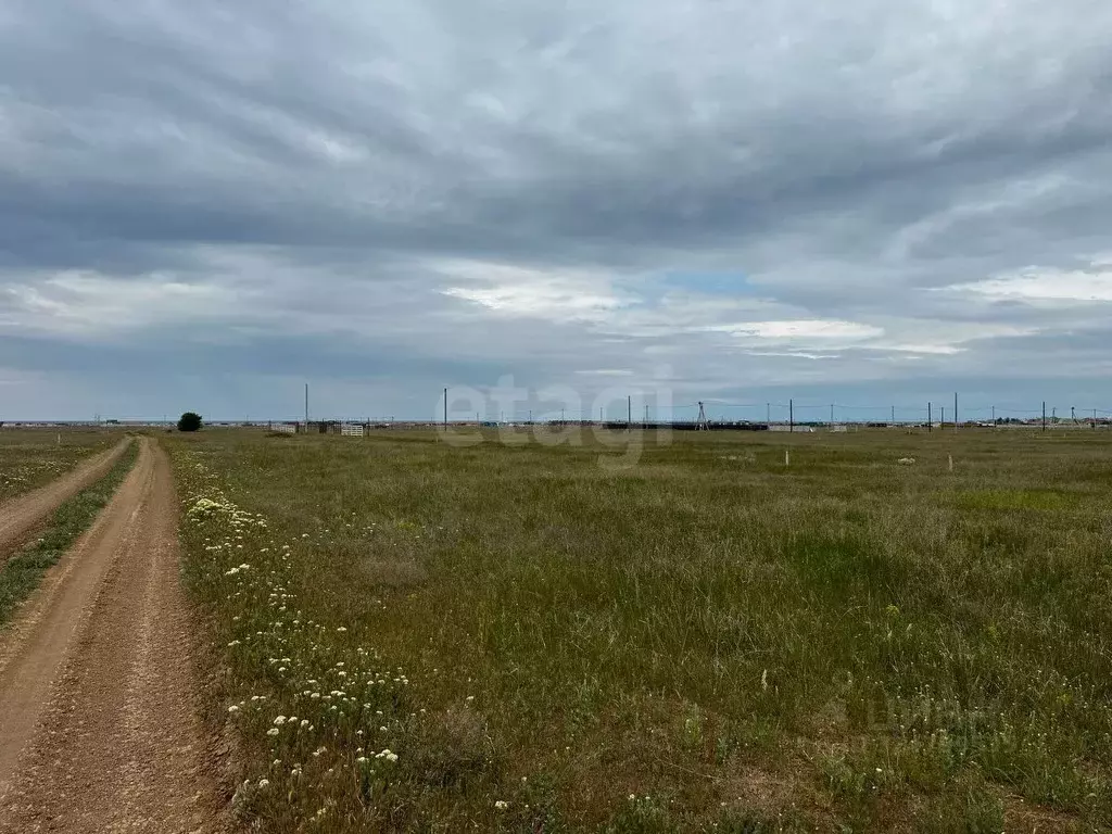 Участок в Крым, Сакский район, Молочненское с/пос, с. Витино  (6.24 ... - Фото 1