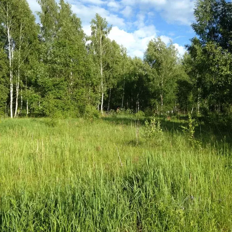 Участок в Тульская область, Заокский район, д. Малахово  (11.0 сот.) - Фото 0